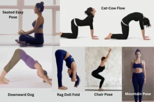 Yoga Poses for Beginners at Home