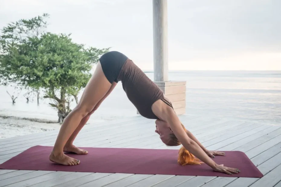 Yoga for Beginners