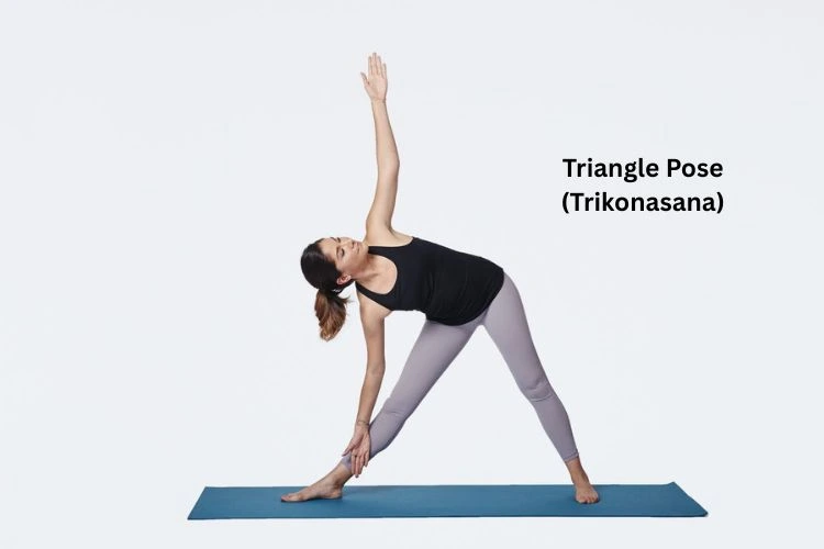 Triangle Pose (Trikonasana)